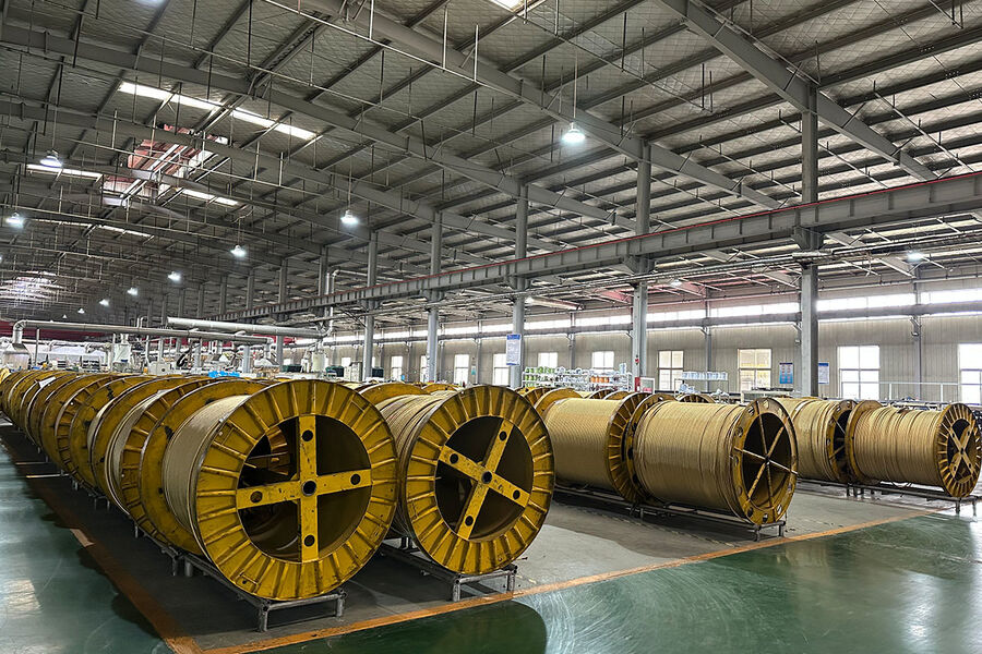 Jiayao Co., Ltd. ligne de production du fabricant